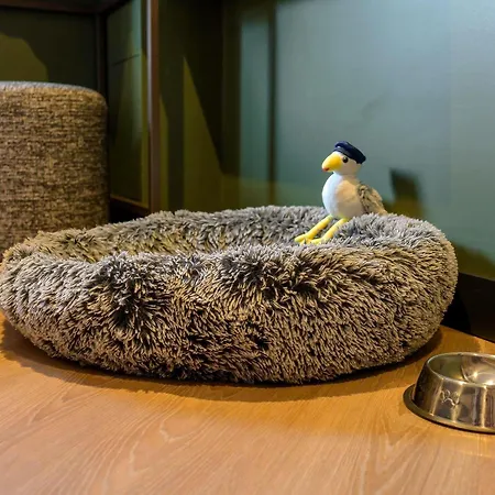 Ibis Konstancja